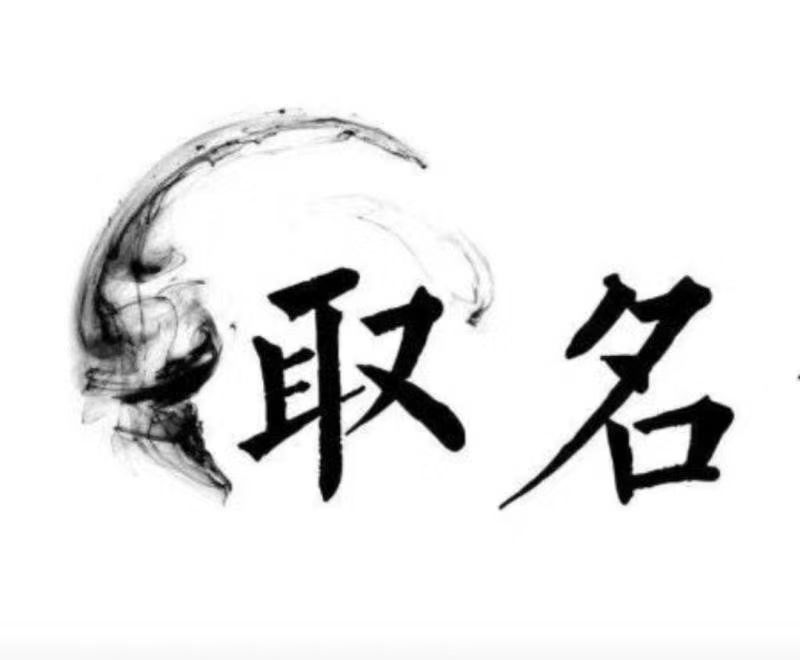  利津宝宝取名 大师一对一人工起名
